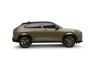 Sand Khaki Pearl Two Tone